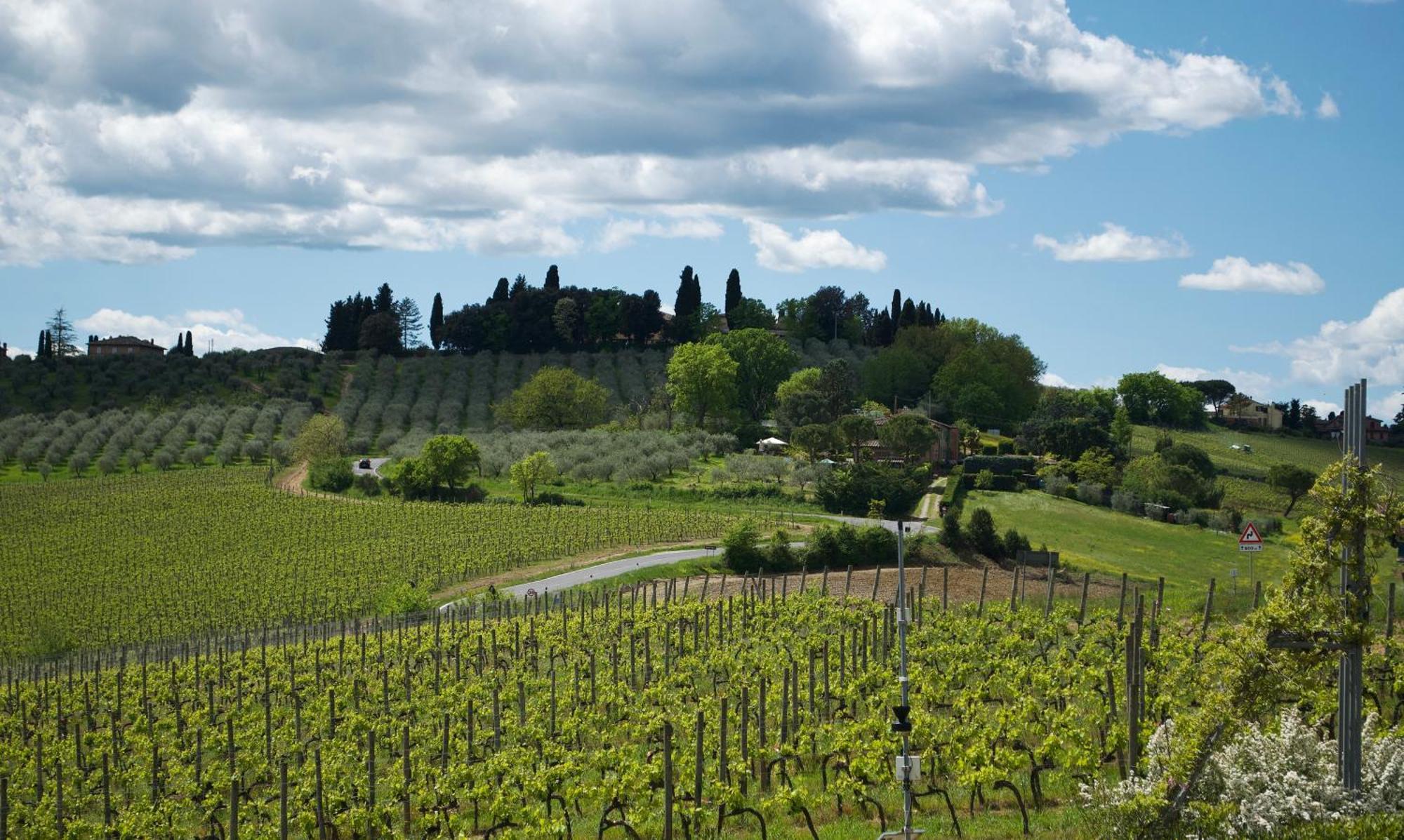 Villa Il Castagno Wine & Resort سيينا المظهر الخارجي الصورة